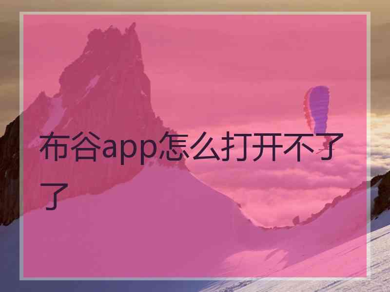 布谷app怎么打开不了了