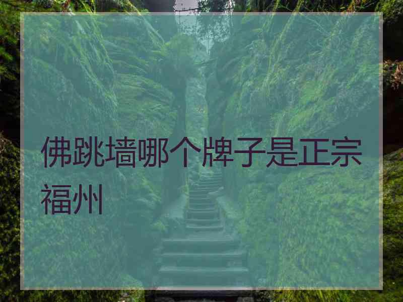 佛跳墙哪个牌子是正宗福州
