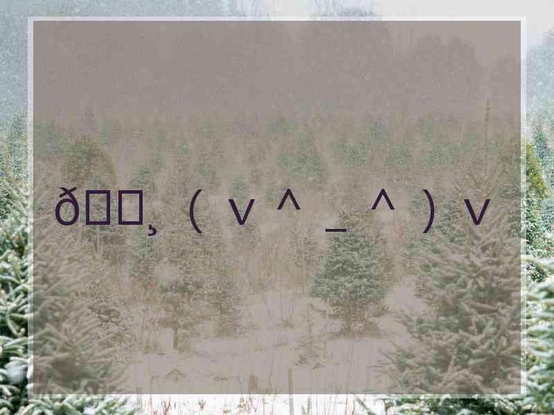 🌸 （ｖ＾＿＾）ｖ