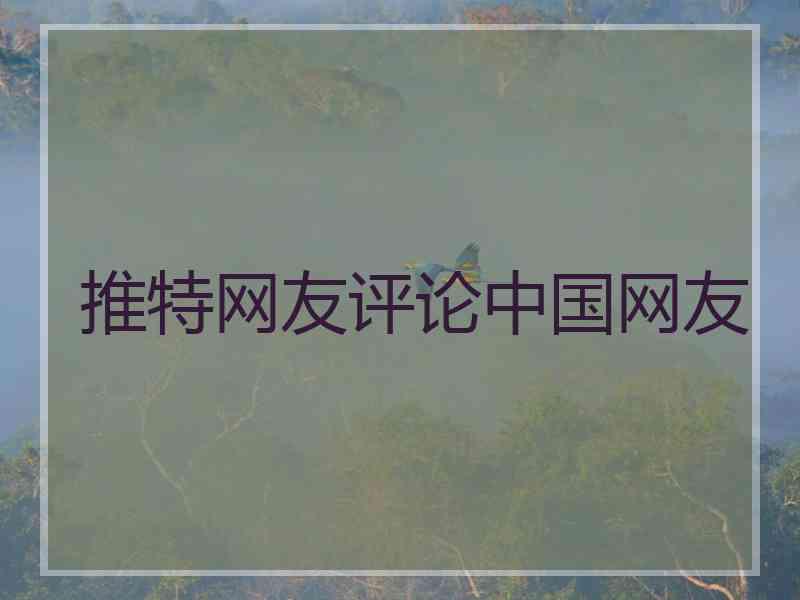 推特网友评论中国网友
