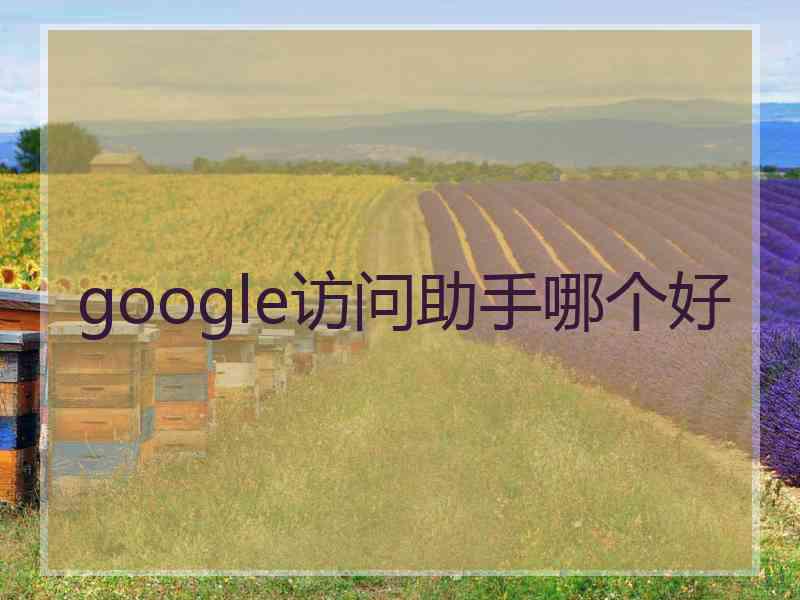 google访问助手哪个好