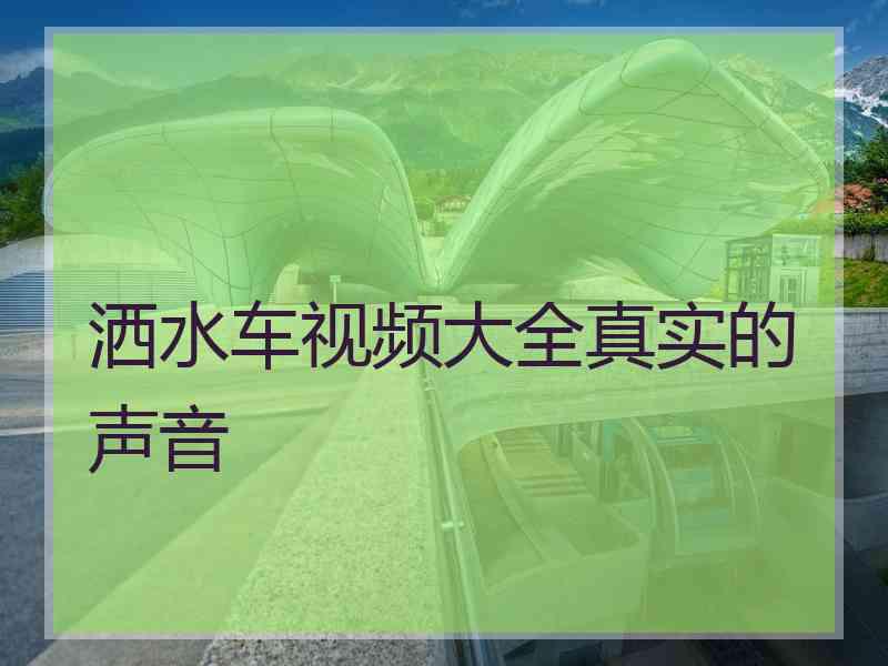 洒水车视频大全真实的声音