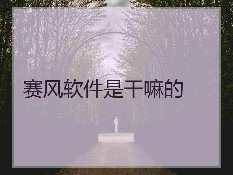 赛风软件是干嘛的