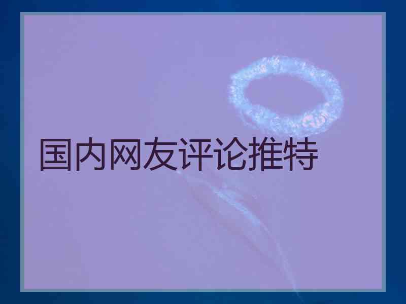 国内网友评论推特