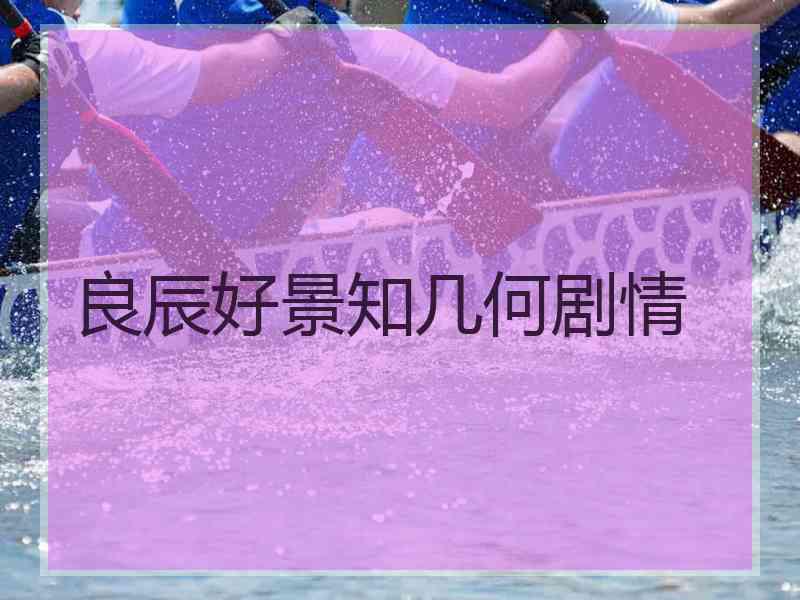 良辰好景知几何剧情