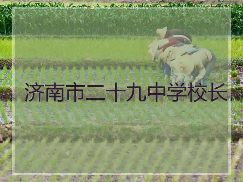 济南市二十九中学校长