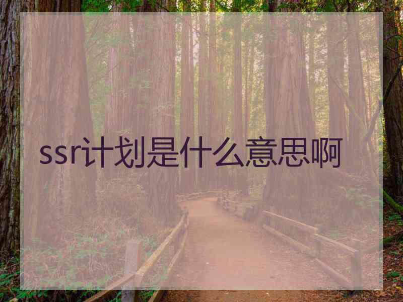 ssr计划是什么意思啊