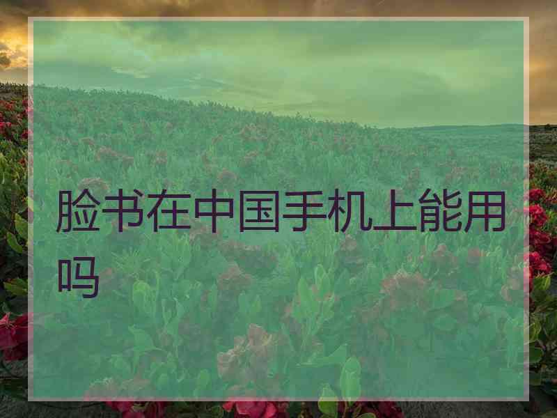 脸书在中国手机上能用吗