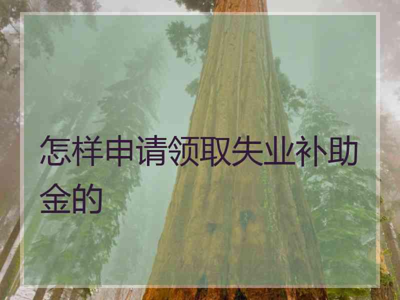 怎样申请领取失业补助金的