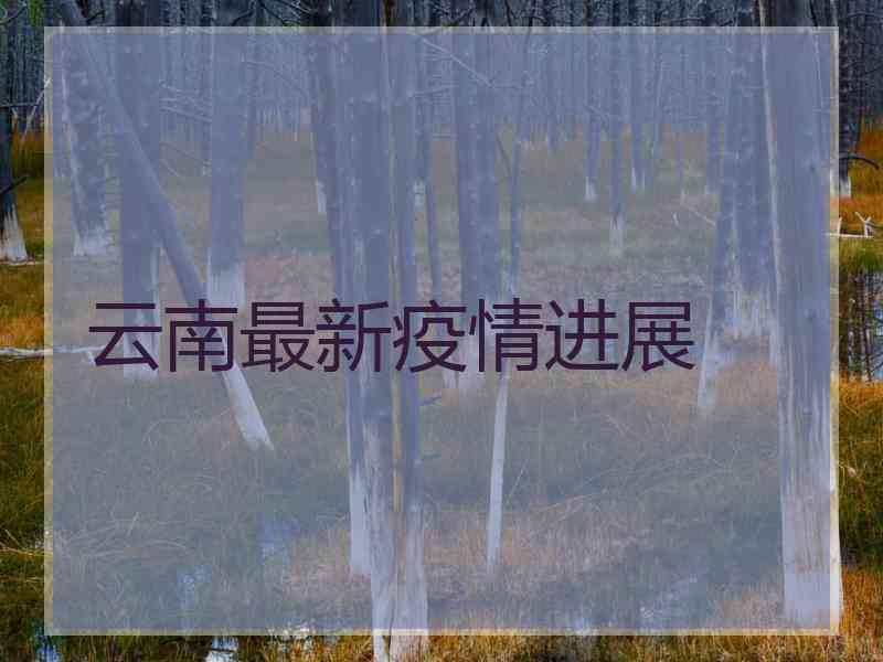 云南最新疫情进展