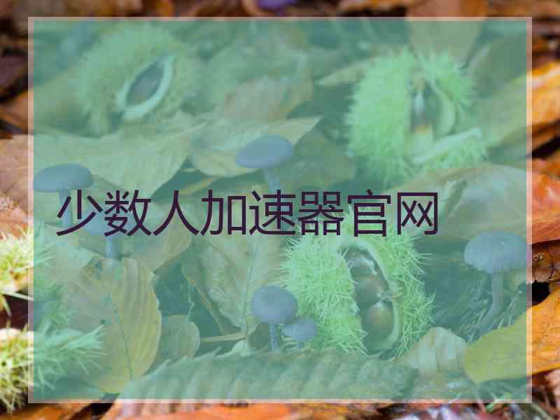 少数人加速器官网