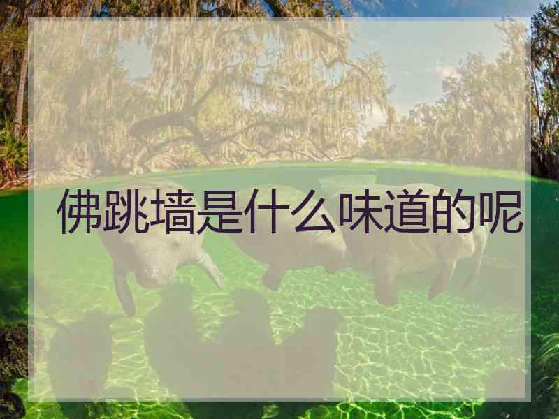 佛跳墙是什么味道的呢