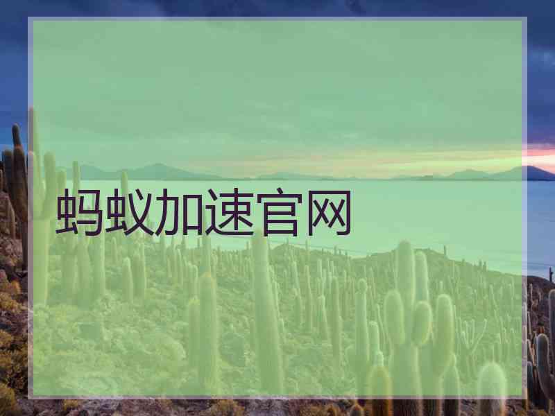 蚂蚁加速官网