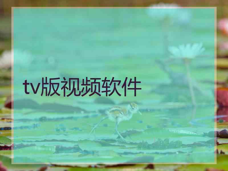 tv版视频软件