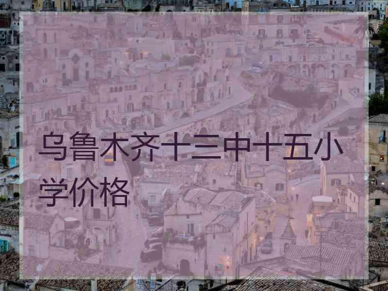 乌鲁木齐十三中十五小学价格
