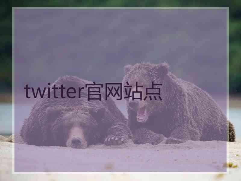 twitter官网站点