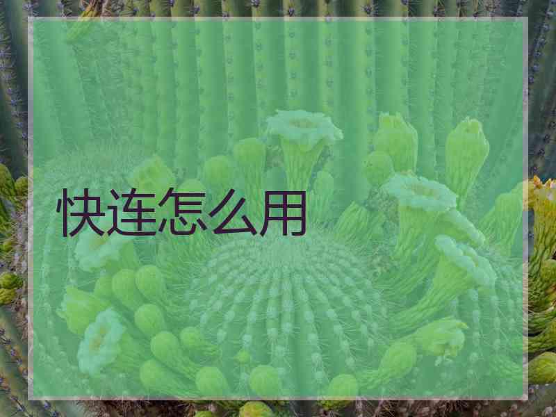 快连怎么用