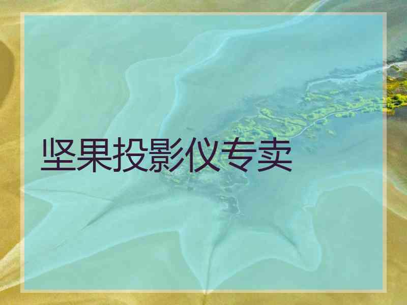坚果投影仪专卖