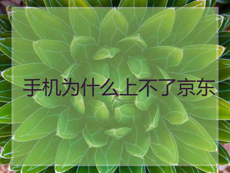 手机为什么上不了京东