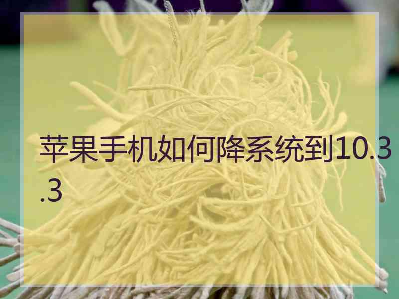苹果手机如何降系统到10.3.3