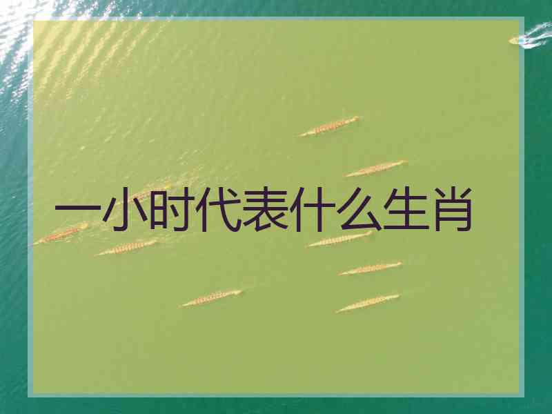 一小时代表什么生肖