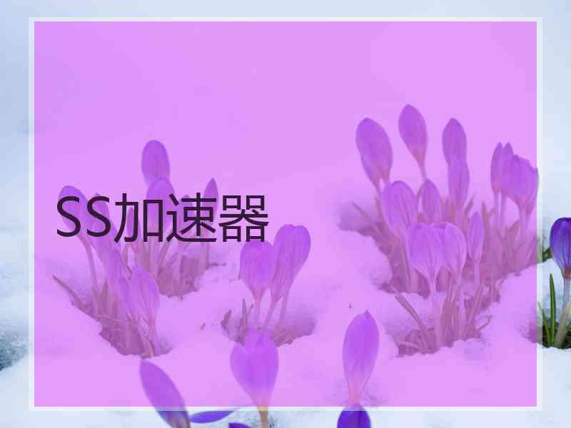 SS加速器