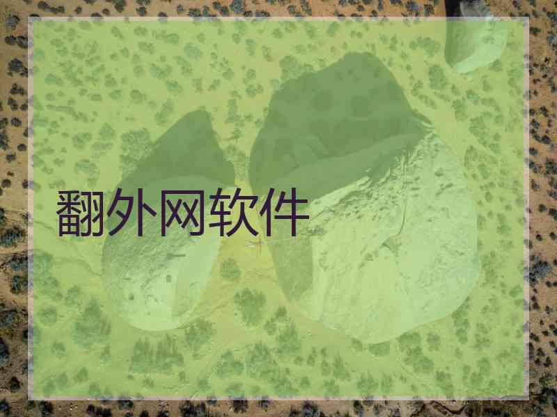 翻外网软件