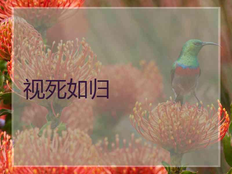 视死如归