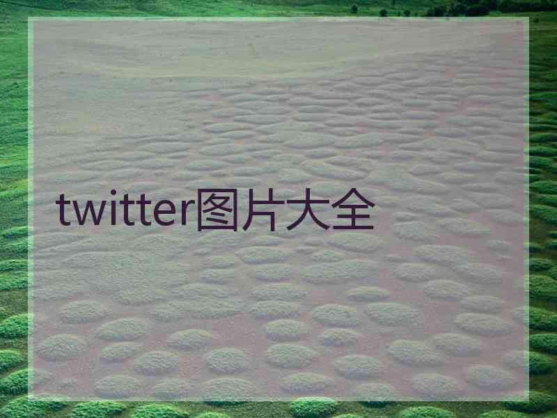 twitter图片大全
