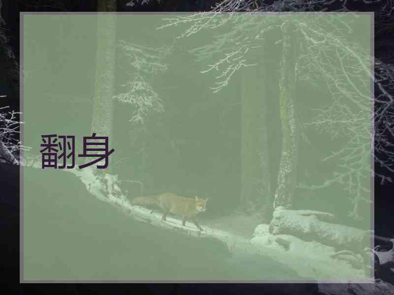 翻身