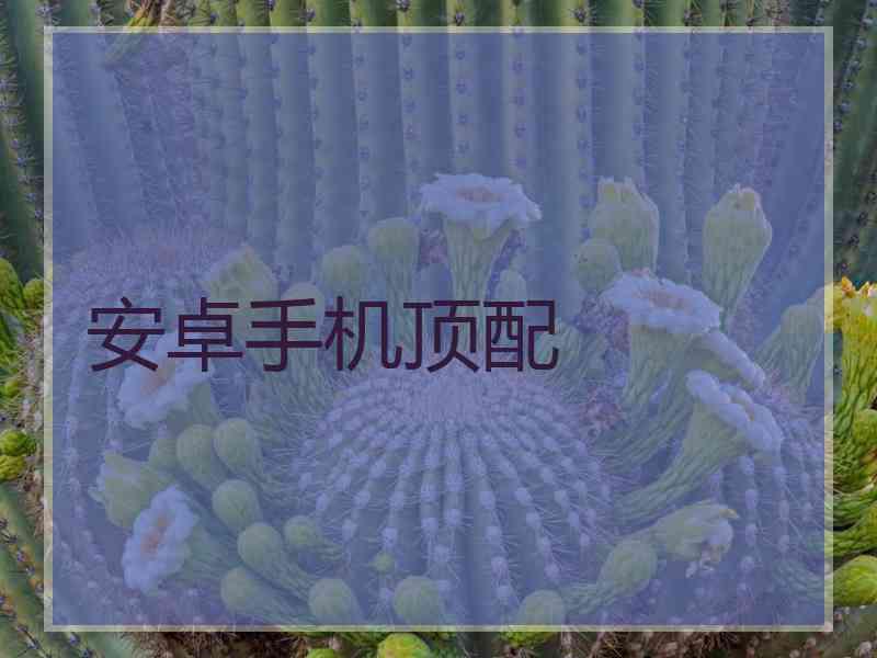 安卓手机顶配