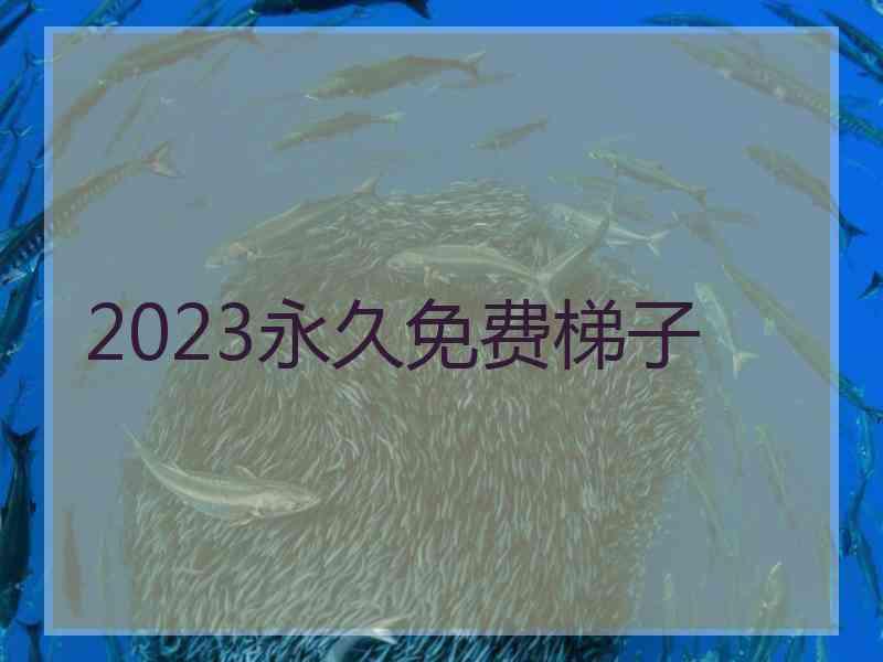 2023永久免费梯子