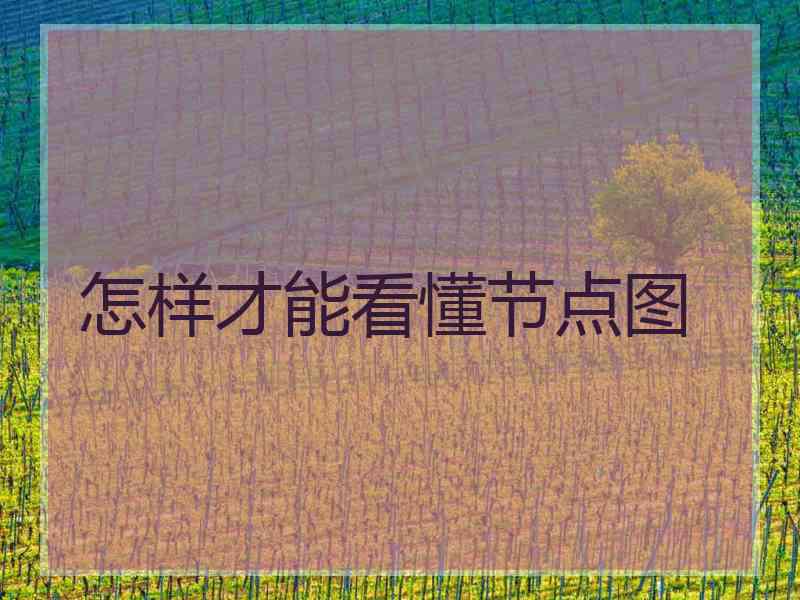 怎样才能看懂节点图