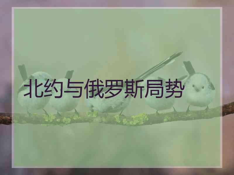北约与俄罗斯局势