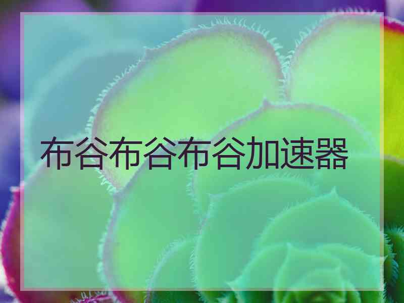 布谷布谷布谷加速器