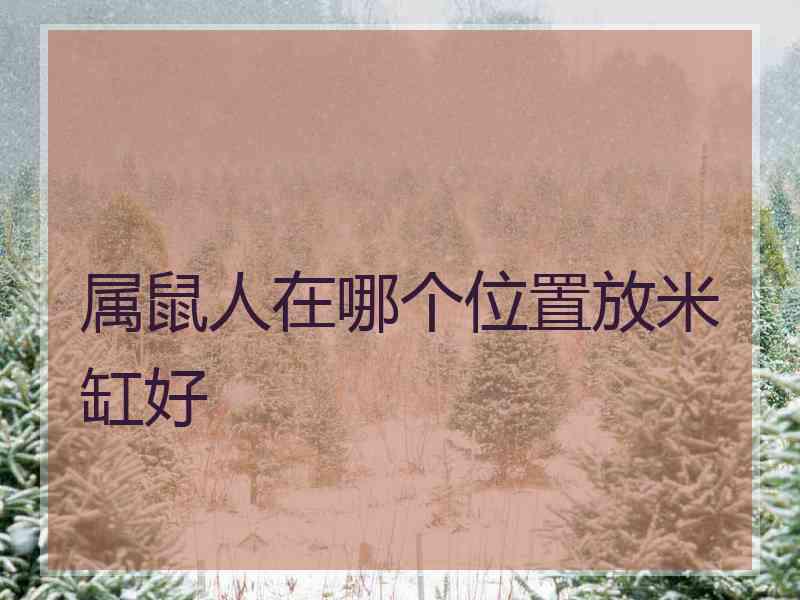 属鼠人在哪个位置放米缸好
