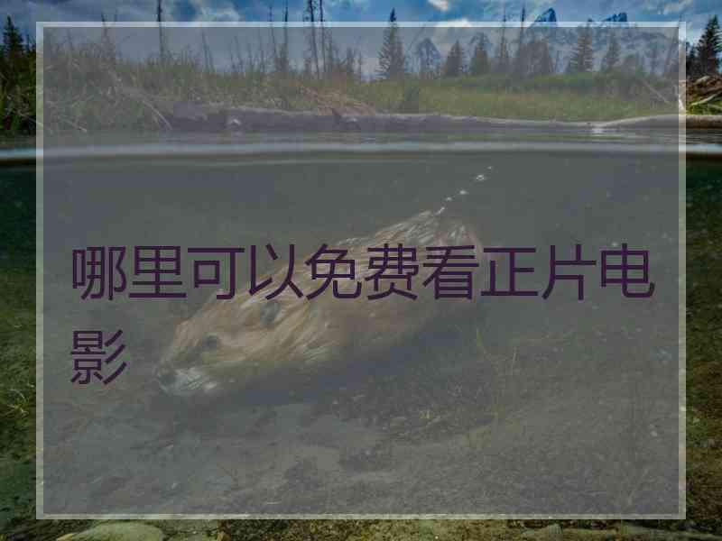 哪里可以免费看正片电影