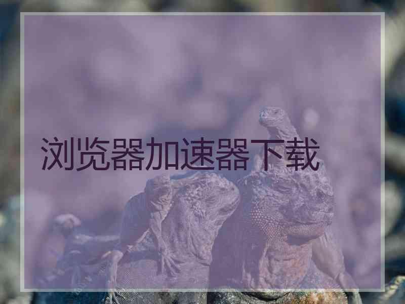 浏览器加速器下载