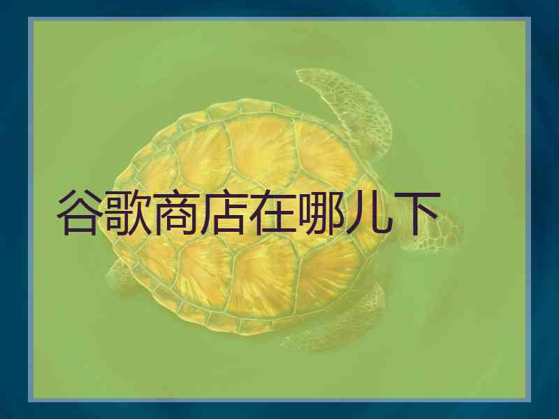 谷歌商店在哪儿下