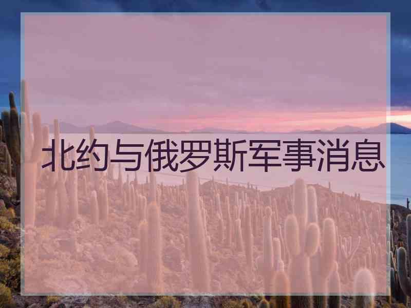 北约与俄罗斯军事消息