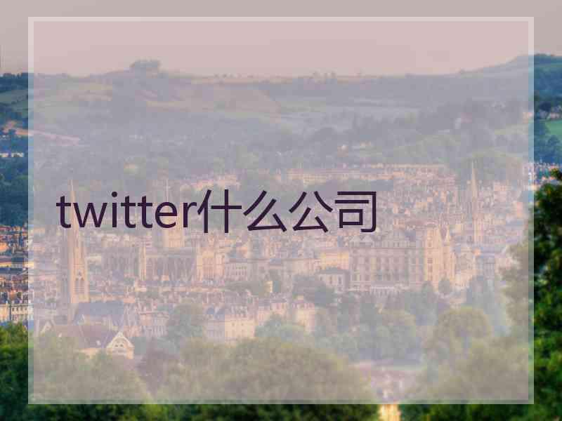 twitter什么公司