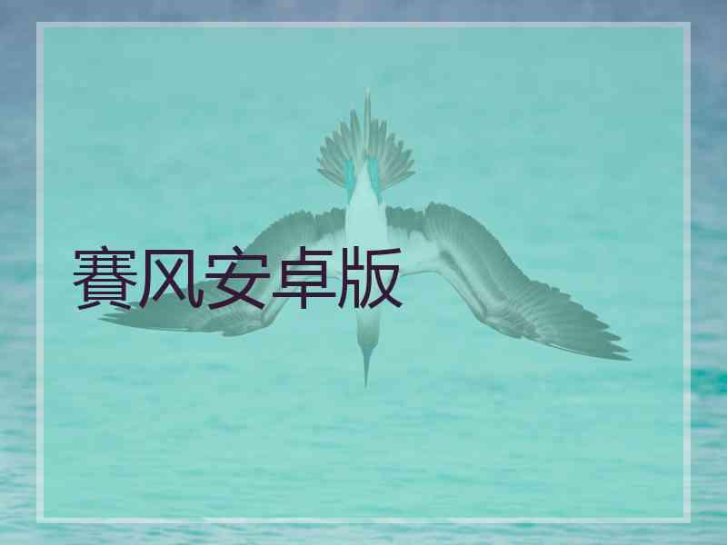 賽风安卓版