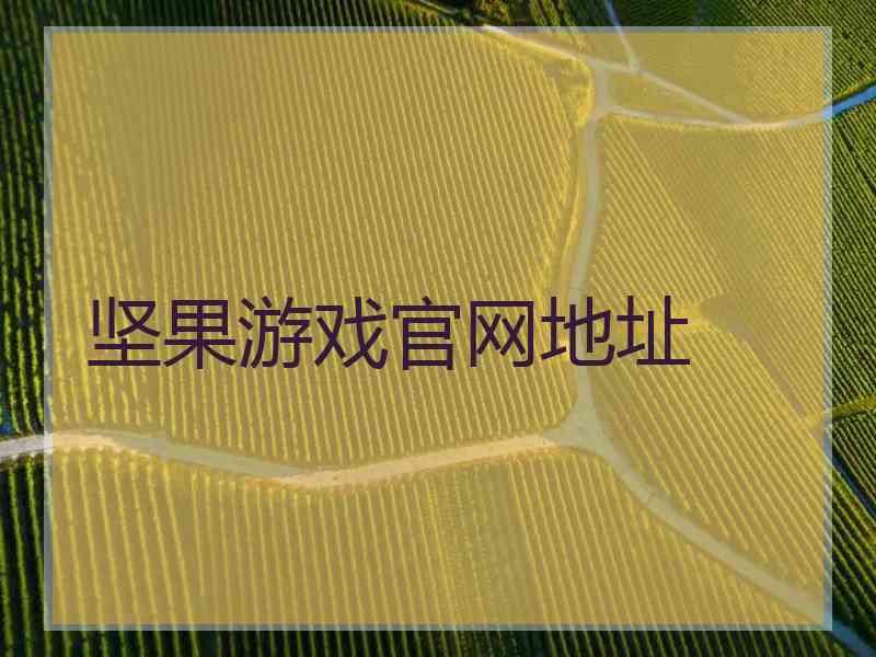 坚果游戏官网地址
