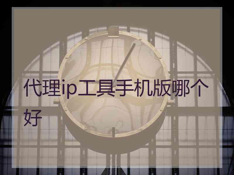 代理ip工具手机版哪个好