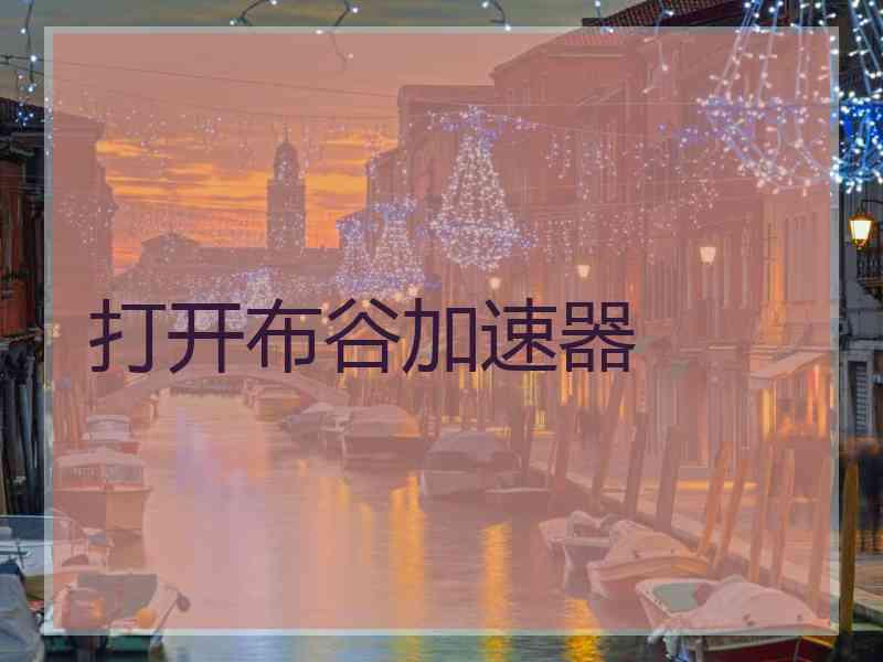 打开布谷加速器