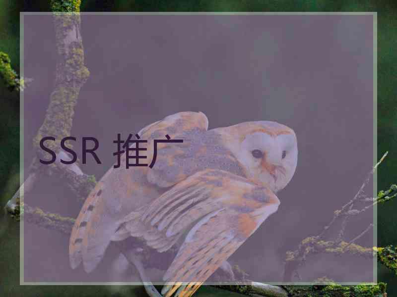 SSR 推广