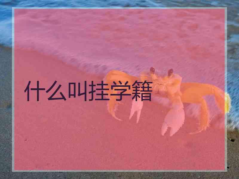 什么叫挂学籍