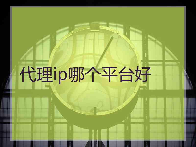 代理ip哪个平台好