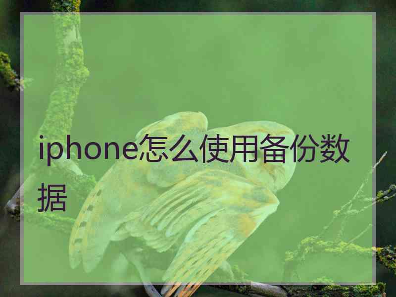 iphone怎么使用备份数据