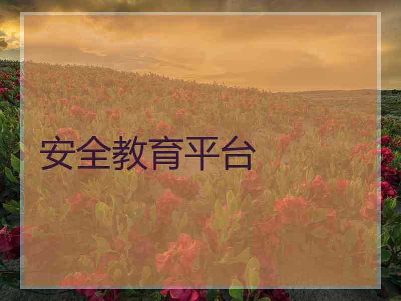 安全教育平台